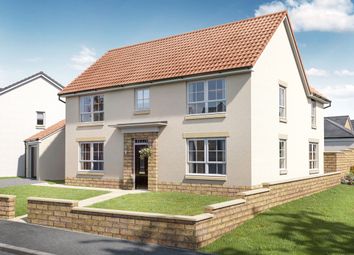 Thumbnail Detached house for sale in "Brechin" at Younger Gardens, St. Andrews