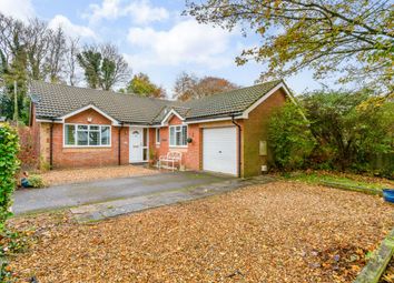 Thumbnail 3 bed bungalow for sale in Winterslow, Salisbury