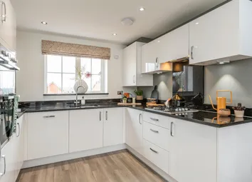 Bright And Modern With Energy Efficient Appliances