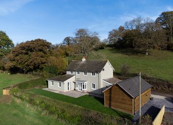 Thumbnail 4 bed detached house for sale in Longtown, Hereford