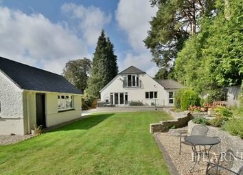 Thumbnail Detached bungalow for sale in Pinewood Road, Ferndown