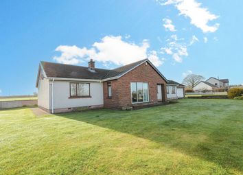 Thumbnail 4 bed detached bungalow for sale in Calthwaite, Penrith