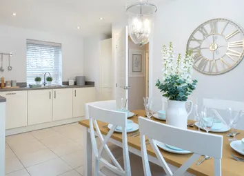 Open-Plan Kitchen Diner