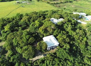 Thumbnail Land for sale in Mount Joy Plots, Mount Joy, Antigua And Barbuda