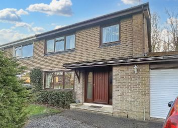 Thumbnail Semi-detached house for sale in Aykley Green, Durham