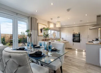 Showhome Photography