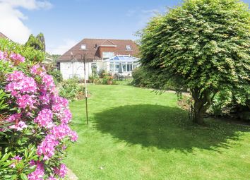 Thumbnail 4 bedroom detached bungalow for sale in Upton Crescent, Nursling, Southampton