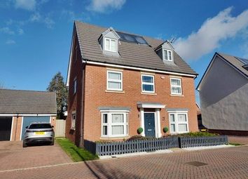 Thumbnail Detached house for sale in Shetland Crescent, Rochford, Essex