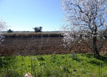 Thumbnail 1 bed country house for sale in House In Ruins With Land, Beja, Alentejo, Beja (City), Beja, Alentejo, Portugal