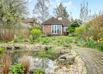 Thumbnail Detached house to rent in Highfield, Twyford, Winchester, Hampshire