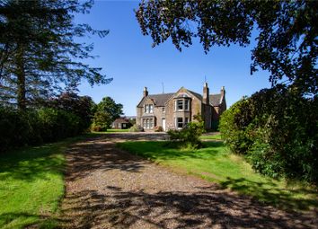 Thumbnail Detached house for sale in Westerton Of Stracathro, Stracathro, By Brechin, Angus