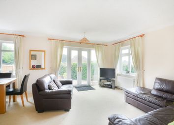 4 Bedroom  for rent