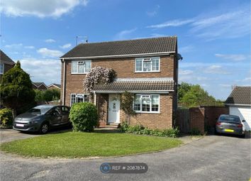 Thumbnail Detached house to rent in Devonshire Avenue, Ripley