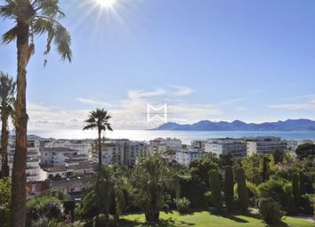 Thumbnail Studio for sale in Cannes, Californie, 06400, France