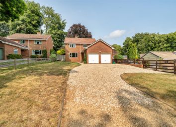 Thumbnail Detached house for sale in Percy Gardens, Blandford Forum