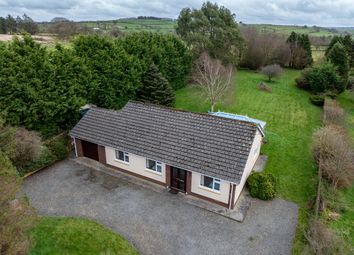 Lampeter - Detached bungalow for sale