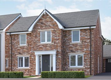 Thumbnail Detached house for sale in The Beech, Hale Village, Liverpool, Cheshire
