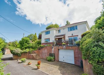 Thumbnail Detached house for sale in Brendon Road, Watchet