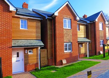 Thumbnail 3 bedroom detached house for sale in Telegraph Road, West End, Southampton, Hampshire