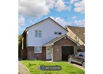 Thumbnail Detached house to rent in Netley Close, Ipswich