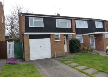 Thumbnail Semi-detached house to rent in Hillview Road, Chelmsford