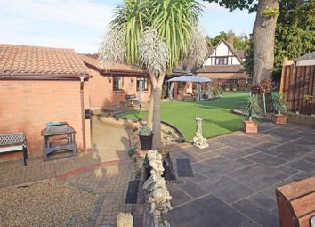 Thumbnail Detached bungalow for sale in Ryegrass Close, Chatham