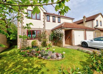 Thumbnail Detached house for sale in Compton Gardens, Frome