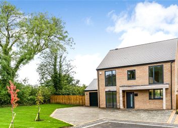 Thumbnail Detached house for sale in Paddock View, Hollins Lane, Hampsthwaite, Nr Harrogate, North Yorkshire