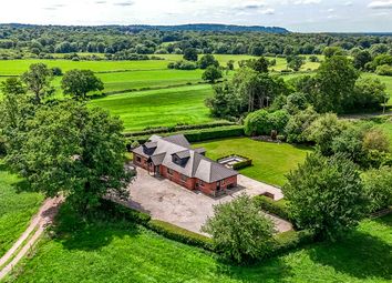 Aerial Views