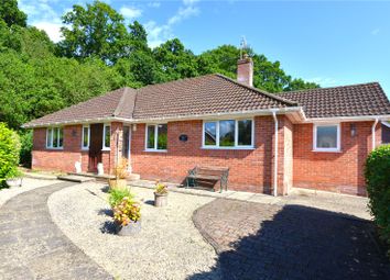 Thumbnail 3 bed bungalow for sale in Forder's Close, Woodfalls, Salisbury, Wiltshire