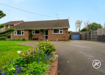Thumbnail Detached bungalow for sale in Old Road, North Petherton, Bridgwater