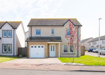 Thumbnail Detached house to rent in Lyall Way, Laurencekirk, Aberdeenshire