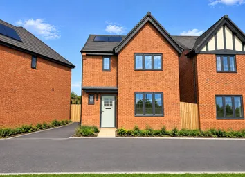 Modern Red-Brick Houses Stand Behind A Paved Asphalt Road And Small Green Shrubs Under A Clear Blue