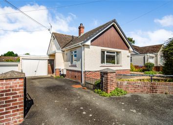 Property listing in Cardigan, Ceredigion