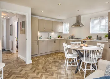 Alderney Kitchen