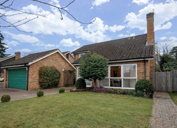 4 Bedroom Detached house for rent
