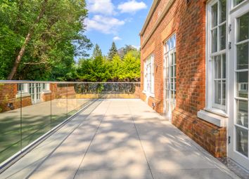 Terrace / Patio