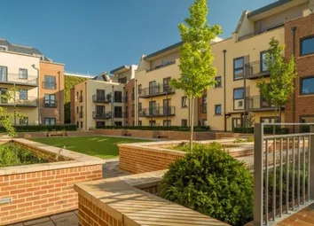 Brightwells Yard Maiden Court