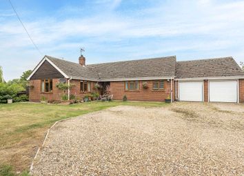 Thumbnail 4 bed bungalow for sale in Ford End, Ivinghoe