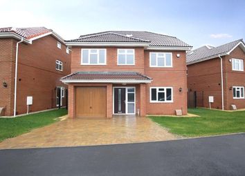 How To Build A Tiny House Bankrate