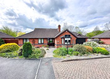 Thumbnail Bungalow for sale in Killams Green, Taunton