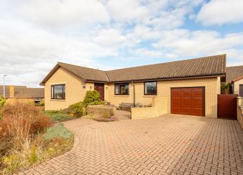Thumbnail 3 bedroom bungalow for sale in Westfield Loan, Forfar, Angus