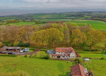 Thumbnail Detached house for sale in Holford, Bridgwater