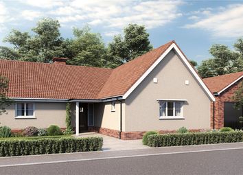 Thumbnail 3 bed bungalow for sale in The Sanderling, Crowcroft Road, Nedging Tye, Ipswich