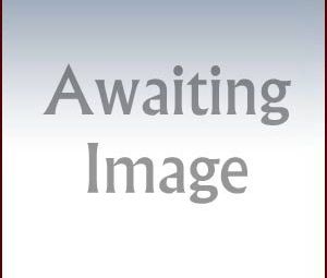 1 Bedroom  for rent
