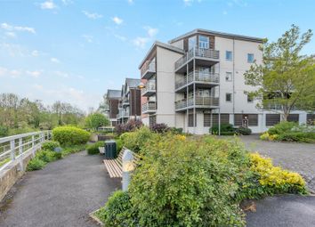 Maidstone - Flat for sale                        ...