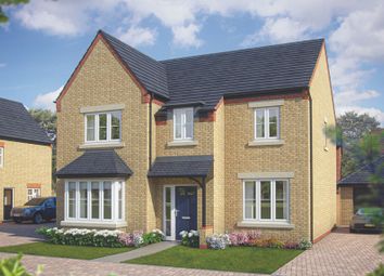 Thumbnail Detached house for sale in "The Birch" at Watermill Way, Collingtree, Northampton