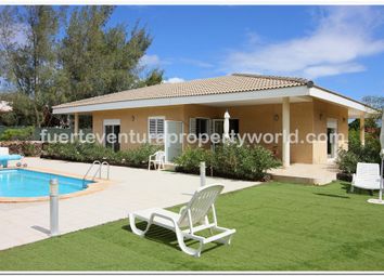 Thumbnail Villa for sale in Lajares, Fuerteventura, Canary Islands, Spain