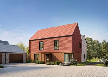 The Lime, Number 541