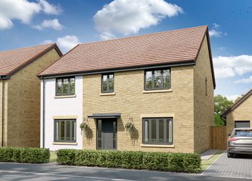 Thumbnail Detached house for sale in "The Barmouth" at Lipwood Way, Wynyard, Billingham